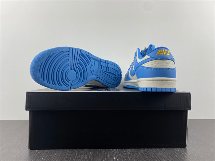 Nike Dunk Low Coast DD1503-100