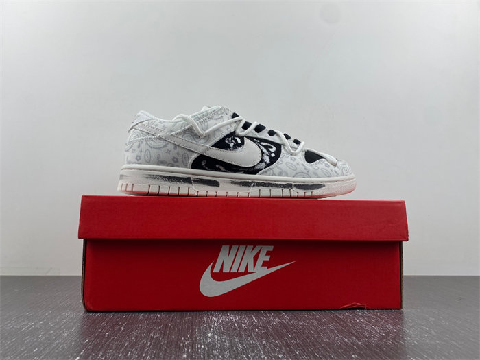 Nike Dunk Low DJ9955-100