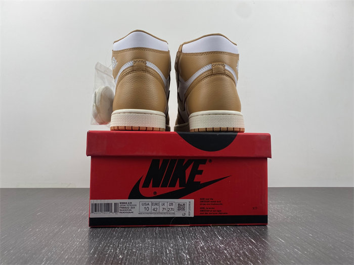 Jordan 1 Retro High OG Praline FN6622-201