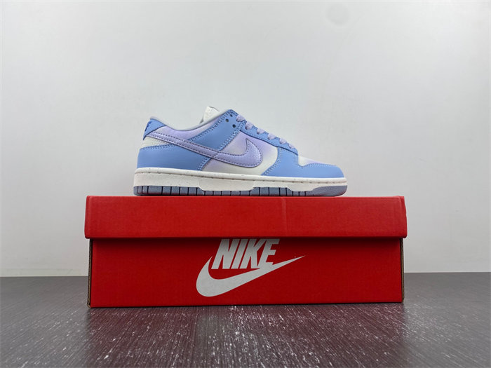 NIKE DUNK LOW FN0323-400