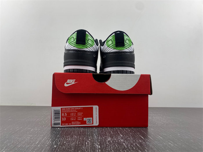 Nike Dunk Disrupt 2 DV1490-161