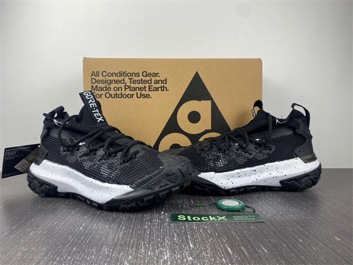 Nike ACG Mountain Fly Low Gore-Tex SE Dark Smoke Grey DD2861-002