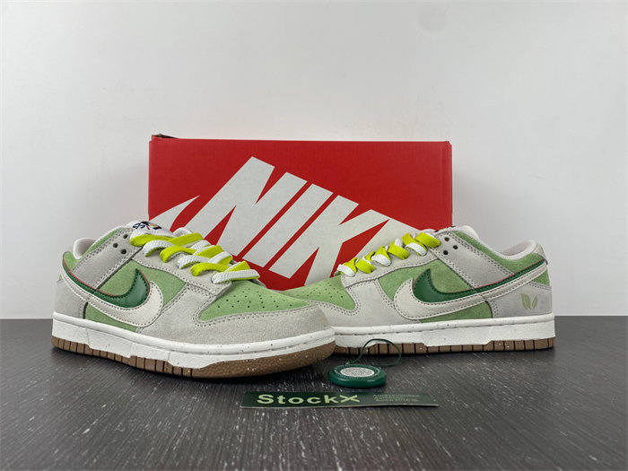 Nike SB Dunk DO9457-100.9