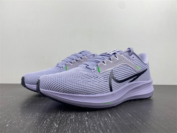 Nike Pegasus  DV3853-500