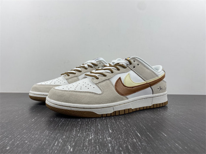 Nike SB Dunk DO9457-100