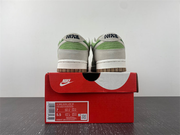 Nike SB Dunk DO9457-100.9