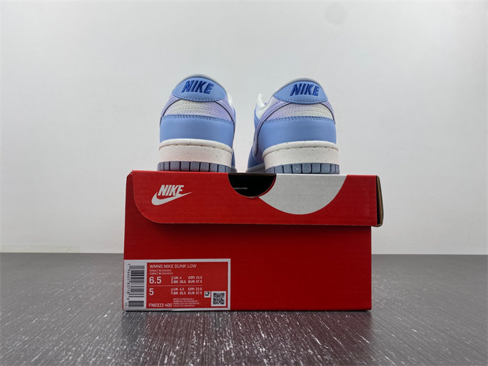 NIKE DUNK LOW FN0323-400