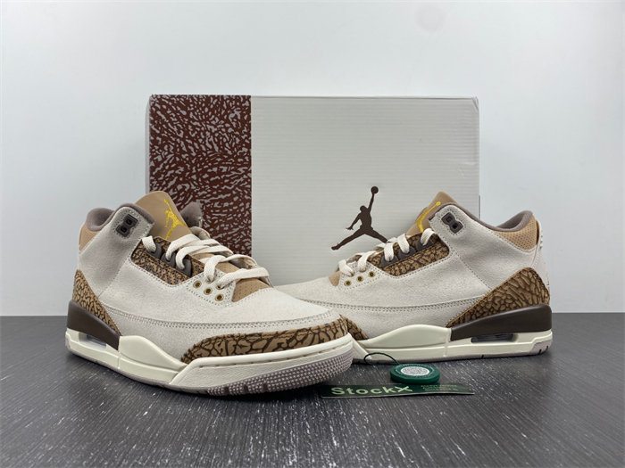 Air Jordan 3 “Palomino” CT8532-102