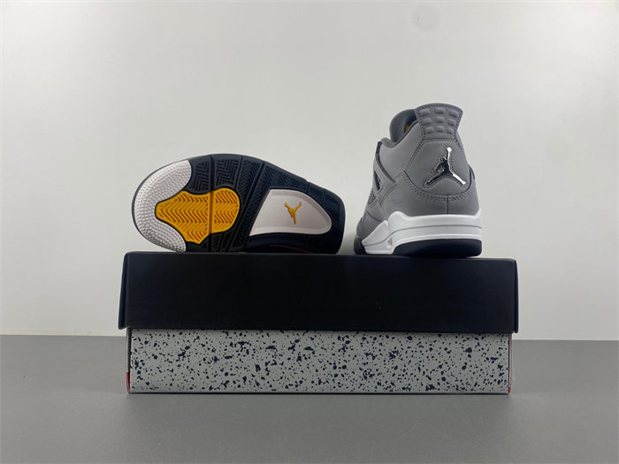 Air Jordan 4“Cool Grey”2019.  308497-007