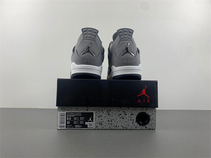 Air Jordan 4“Cool Grey”2019.  308497-007