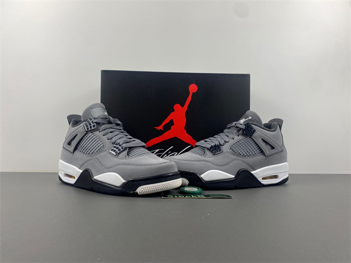 Air Jordan 4“Cool Grey”2019.  308497-007