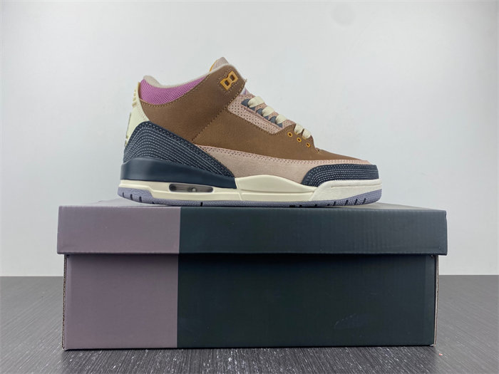 Air Jordan 3 Retro DR8869-200