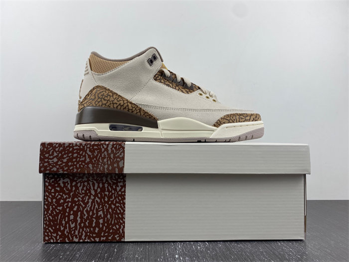 Air Jordan 3 “Palomino” CT8532-102