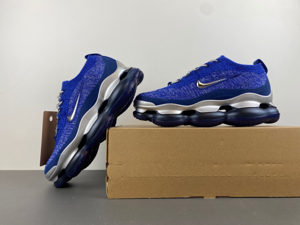 Nike Air Max Scorpion Fk 2022 DJ4702-044