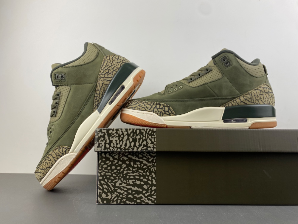Air Jordan 3 “Family Affair” DN3707-202