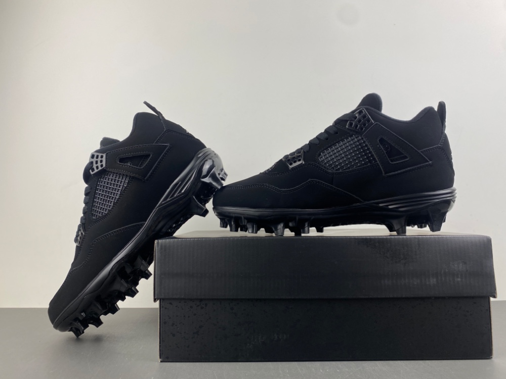 Air Jordan 4 Retro CU1110-010