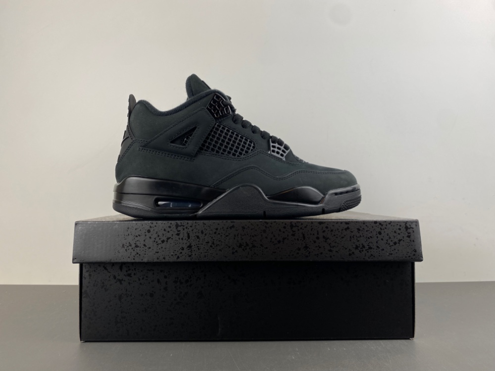 Air Jordan 4 “Black Cat” FV5029-010