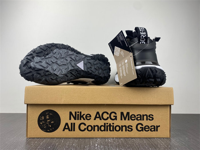 Nike ACG Mountain Fly Low Gore-Tex SE Dark Smoke Grey DD2861-002