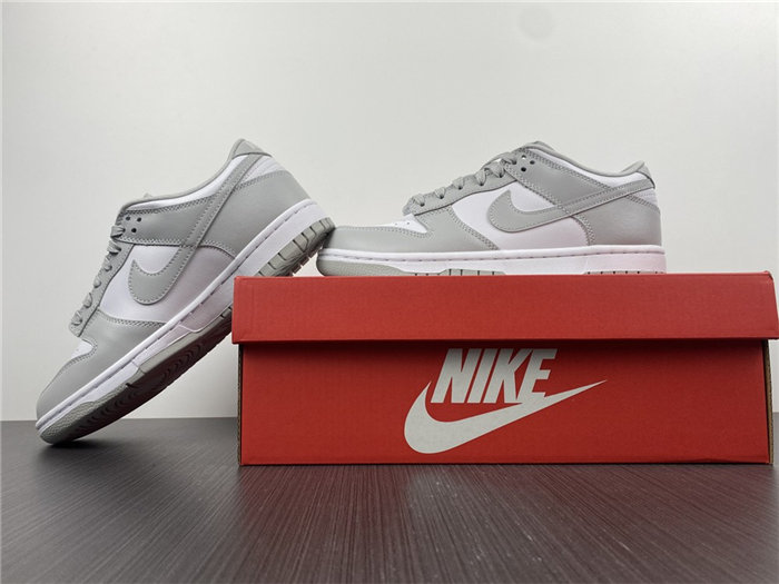 NIKE DUNK LOW RETRO DD1391-103