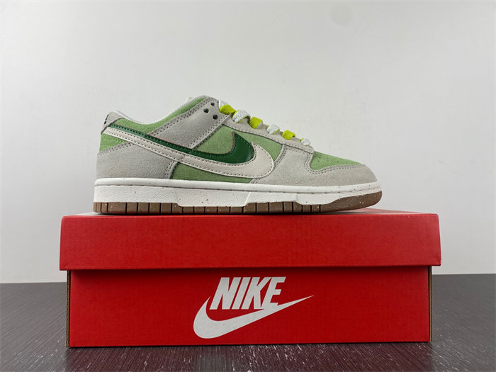 Nike SB Dunk DO9457-100.9