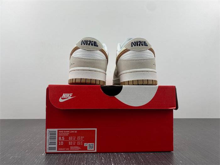 Nike SB Dunk DO9457-100