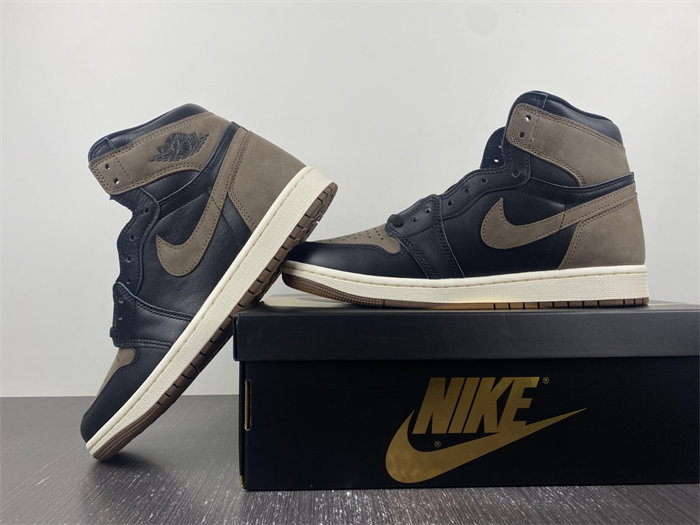 Jordan 1 Retro High OG Palomino DZ5485-020