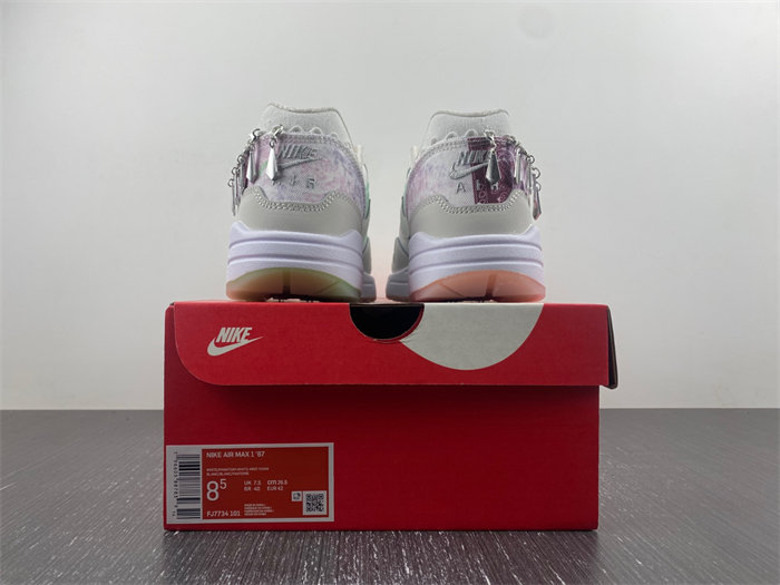 Nike Air Max 1 SNKRS  FJ7734-101