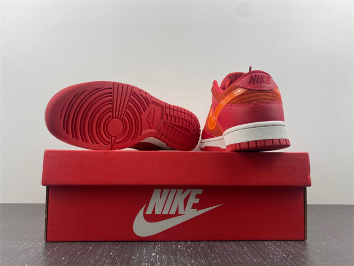 Nike Dunk Low ATL FD0724-657