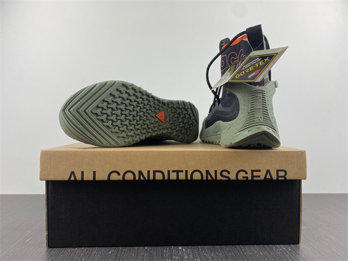 Nike ACG Terra Antarktik GORE-TEX Juniper Fog BV6348-300