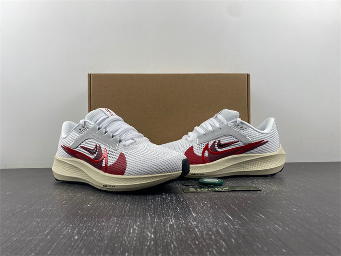 Nike Pegasus 40 Premium  FB7703-100