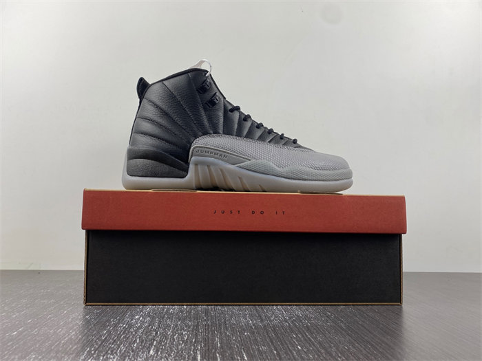 Jordan 12 Retro Stealth CT8013-019