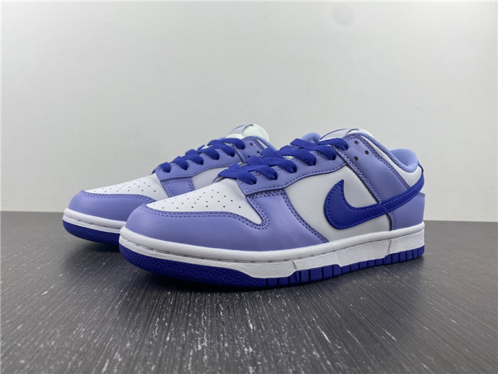 Nike Dunk Low Blueberry DZ4456-100