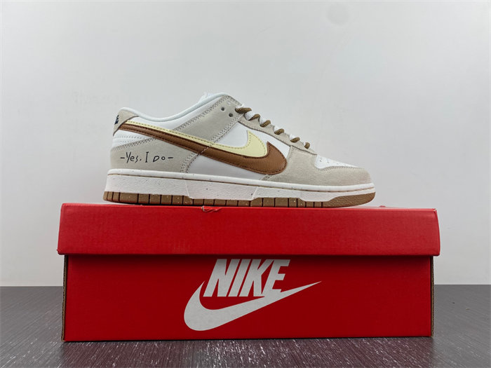 Nike SB Dunk DO9457-100