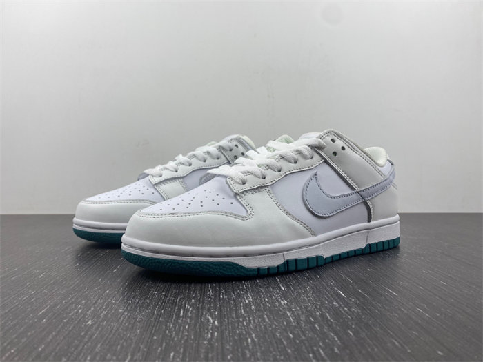 Nike DUNK LOW  FD9911-101