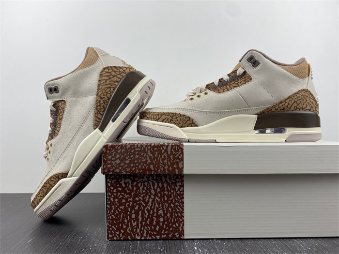 Air Jordan 3 “Palomino” CT8532-102