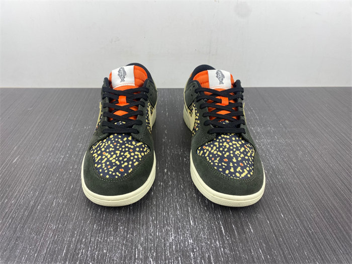 Nike Dunk Low Rainbow Trout FH7523-300