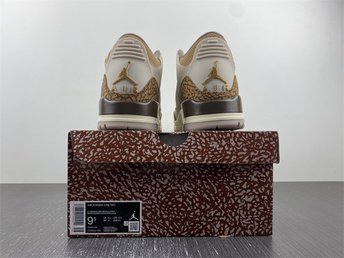 Air Jordan 3 “Palomino” CT8532-102