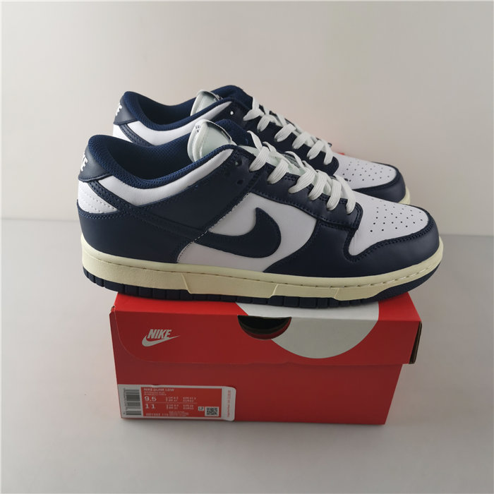 Nike Dunk Low DD1503-115