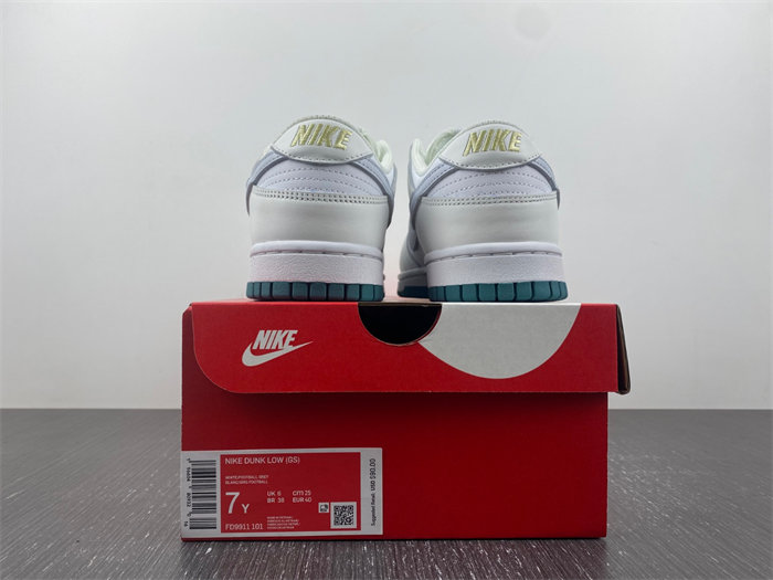 Nike DUNK LOW  FD9911-101