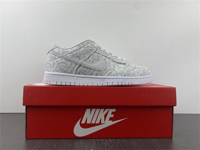 Nike Dunk Low Ice DO2326-001