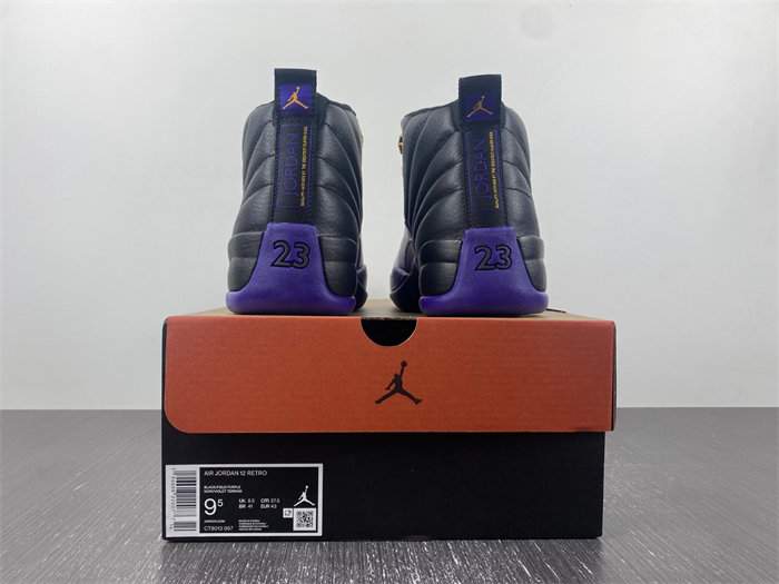 Jordan 12 Retro Field Purplev CT8013-057