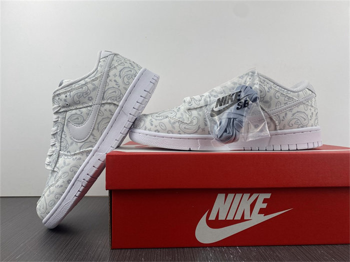 Nike Dunk Low Ice DO2326-001