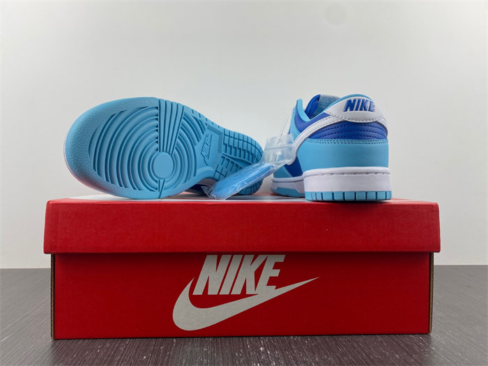 Nike Dunk Low Retro QS Argon DM0121-400