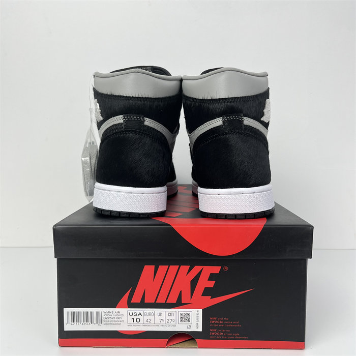 Jordan 1 Retro High OG Twist 2.0 DZ2523-001