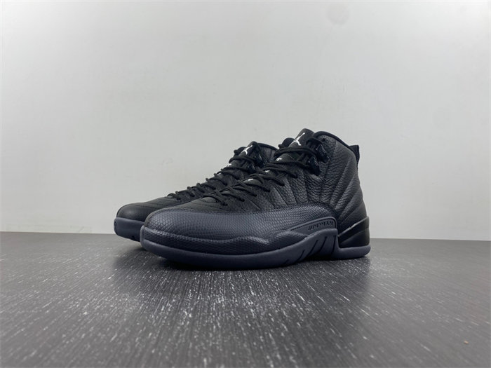 Air Jordan 12