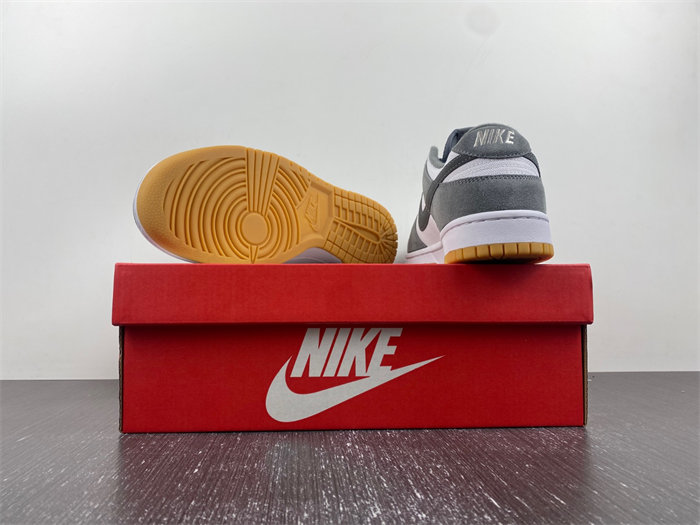 Nike Dunk Low  FV0389-100