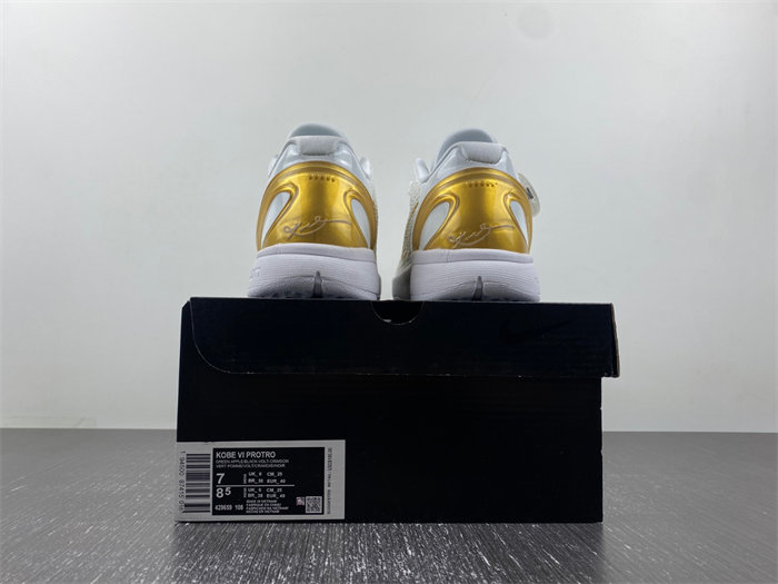 Zoom Kobe VI 429659-108