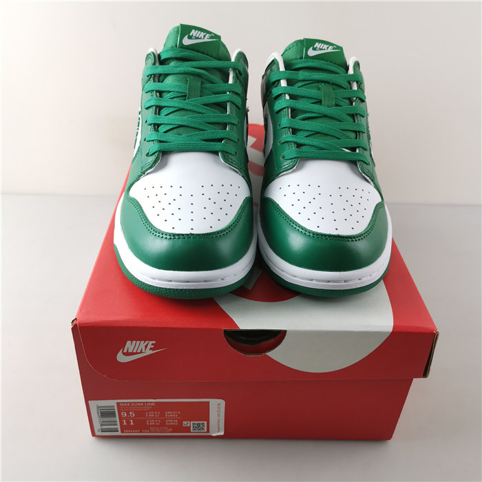 Nike Dunk Low SB DH4401-102