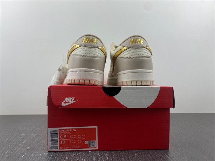 Nike SB Dunk DX5930-001