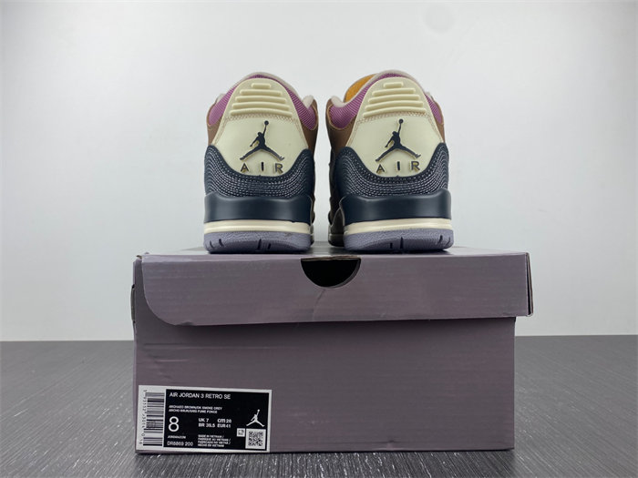 Air Jordan 3 Retro DR8869-200